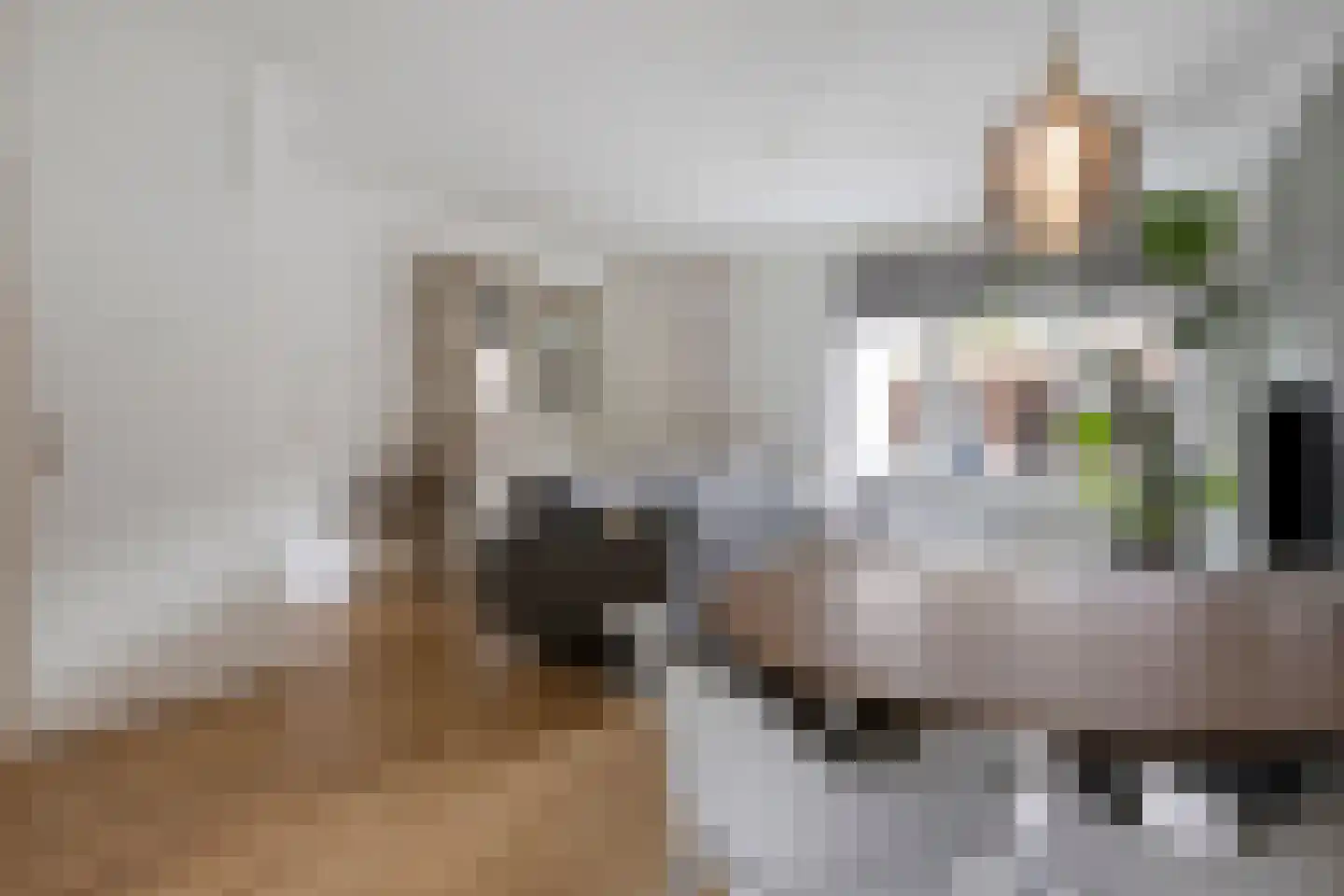 Zaagmolenweg 32 Beek en Donk thumbnail 8