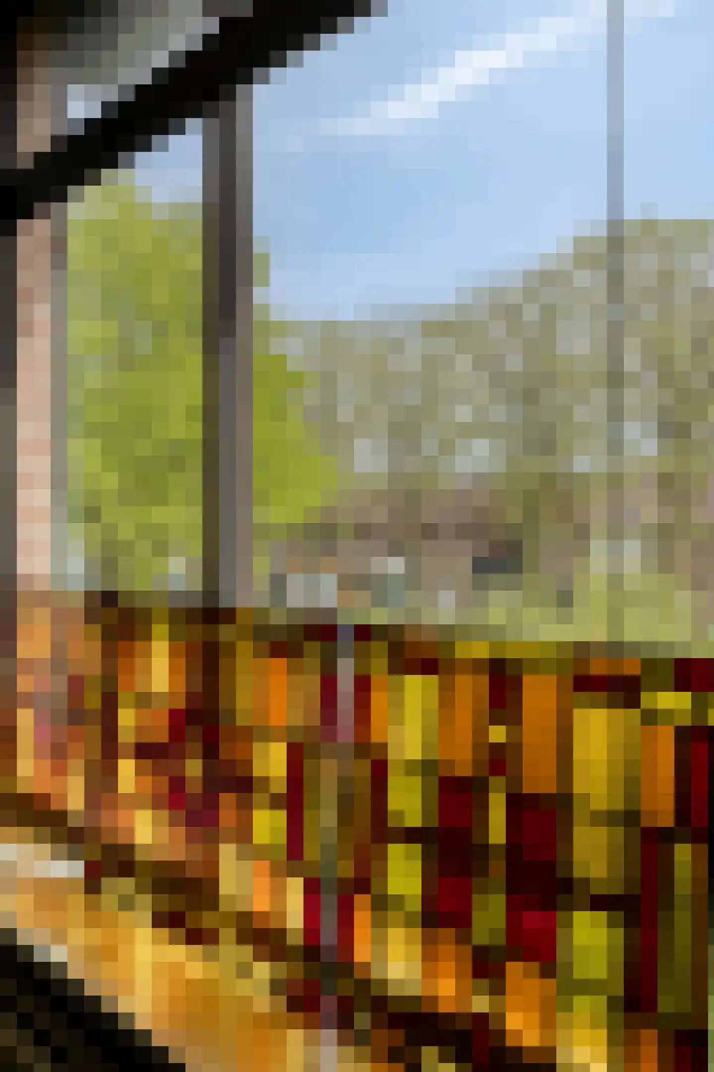 Zaagmolenweg 52 Beek en Donk thumbnail 20
