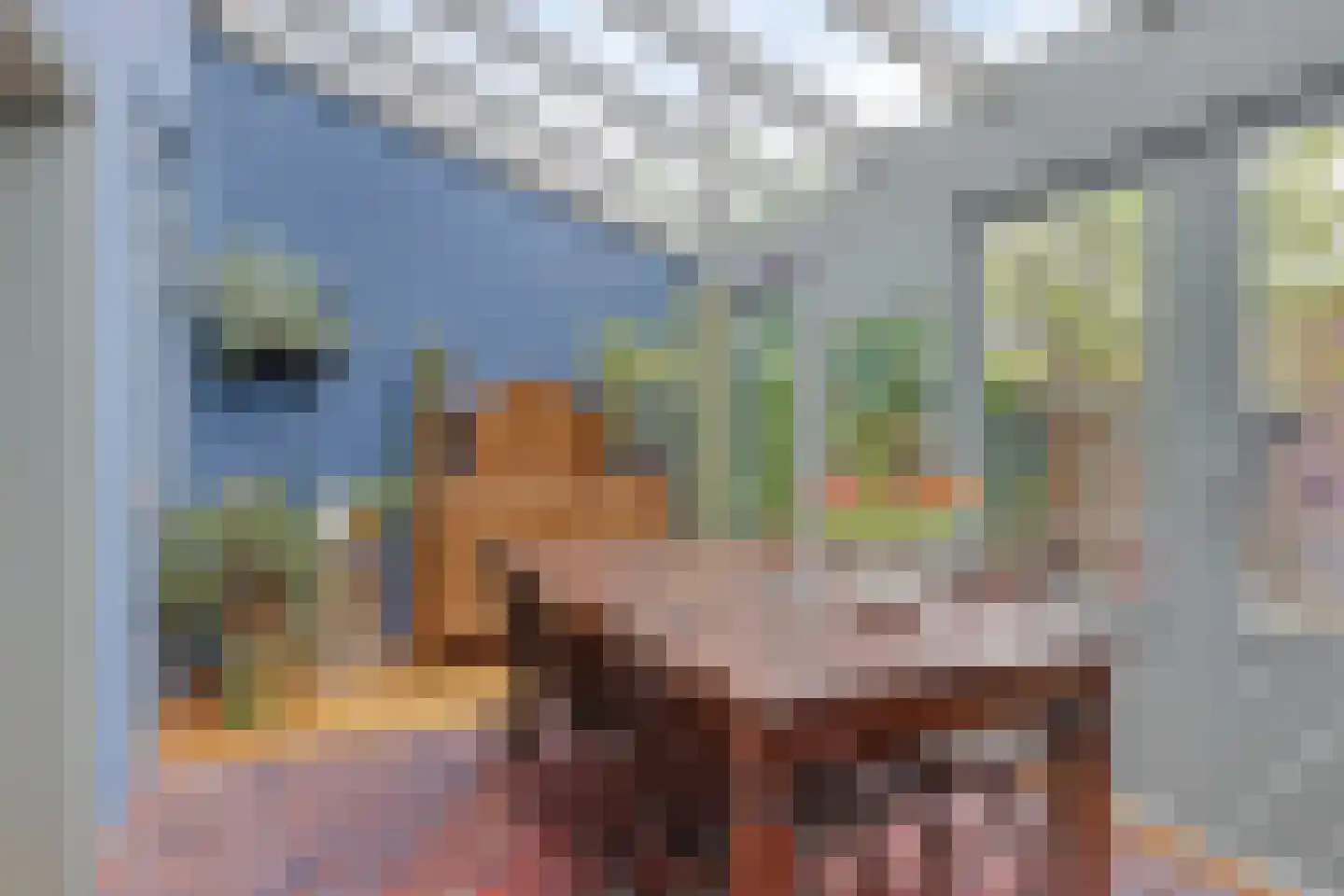 Zaagmolenweg 52 Beek en Donk thumbnail 4