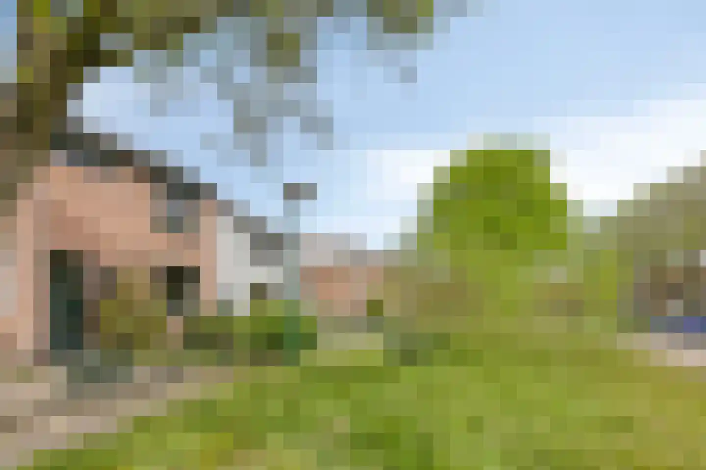 Zaagmolenweg 52 Beek en Donk thumbnail 5