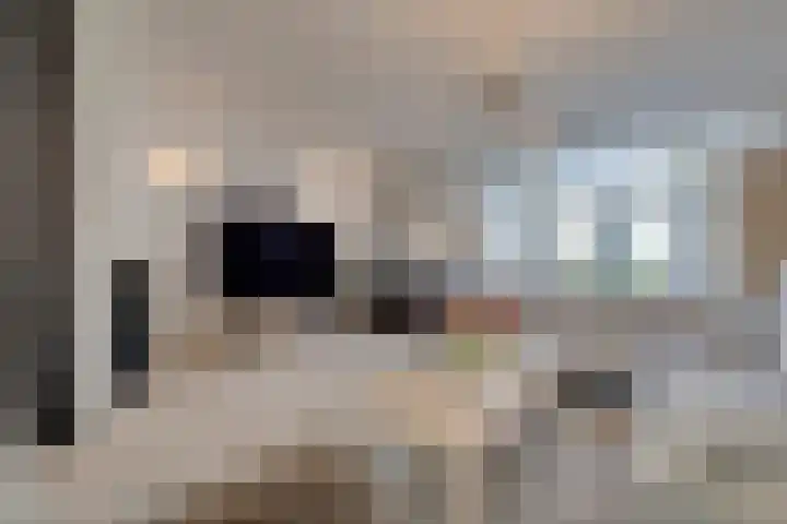 Zaagmolenweg 62 Beek en Donk thumbnail 12