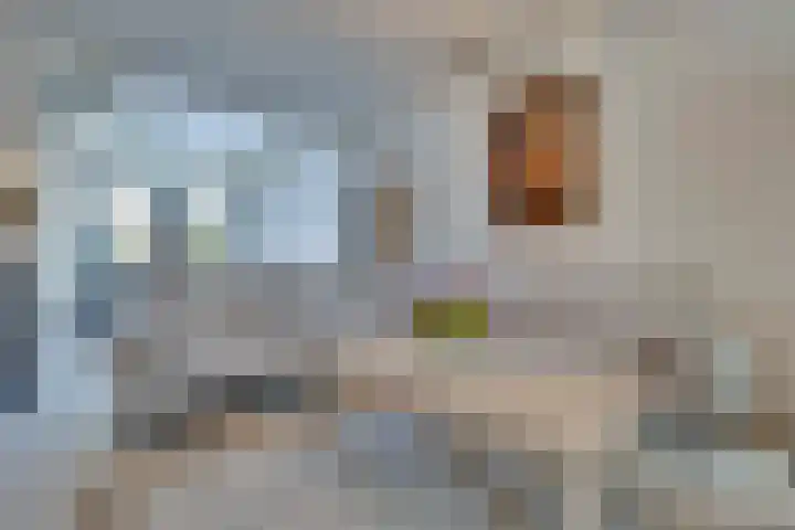 Zaagmolenweg 62 Beek en Donk thumbnail 13
