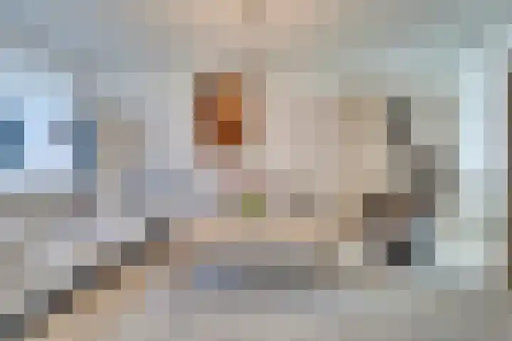 Zaagmolenweg 62 Beek en Donk thumbnail 14