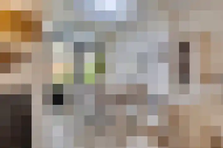 Zaagmolenweg 62 Beek en Donk thumbnail 19