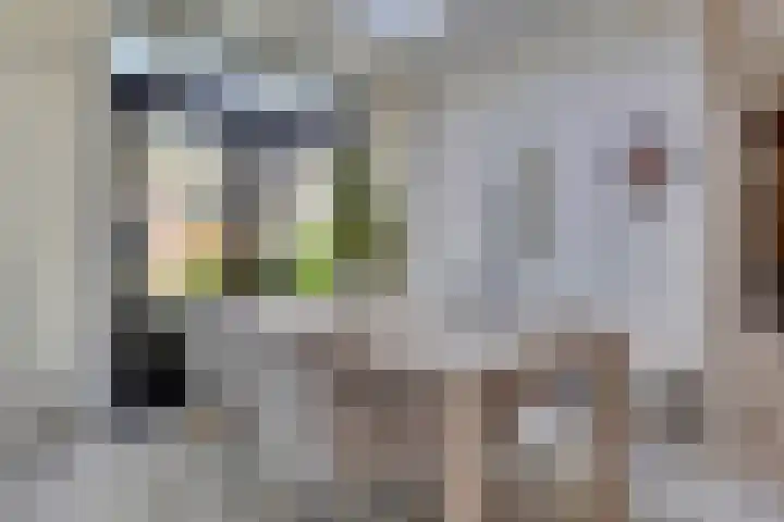 Zaagmolenweg 62 Beek en Donk thumbnail 20
