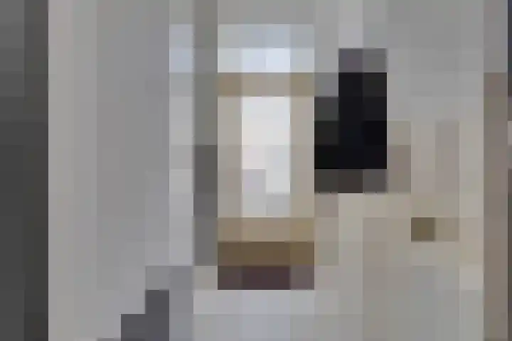 Zaagmolenweg 62 Beek en Donk thumbnail 22