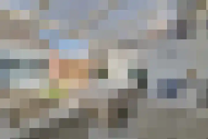 Zaagmolenweg 62 Beek en Donk thumbnail 23