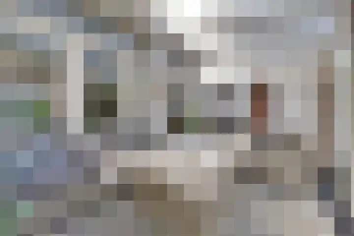 Zaagmolenweg 62 Beek en Donk thumbnail 24