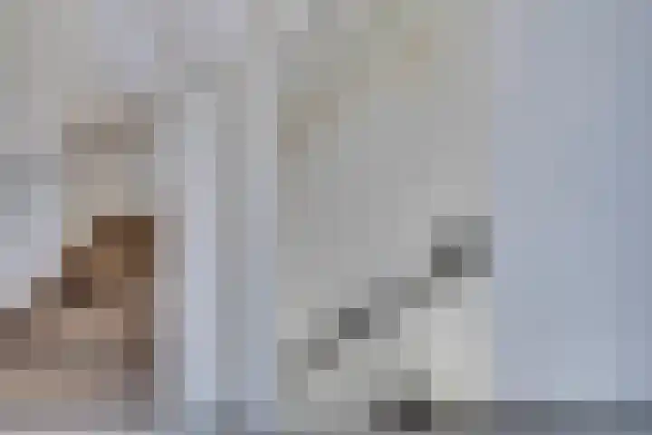 Zaagmolenweg 62 Beek en Donk thumbnail 26