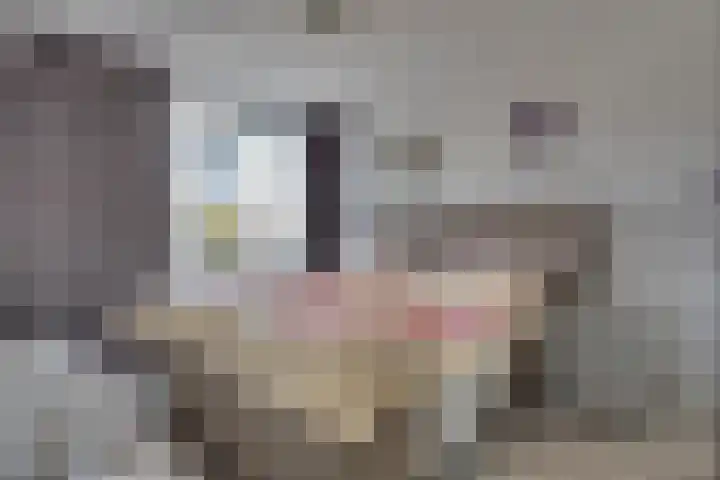 Zaagmolenweg 62 Beek en Donk thumbnail 27