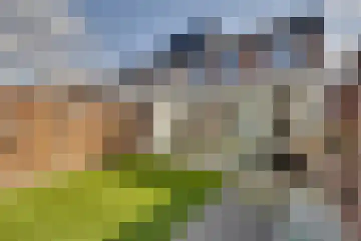 Zaagmolenweg 62 Beek en Donk thumbnail 36
