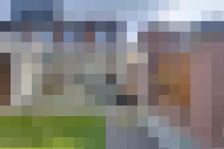 Zaagmolenweg 62 Beek en Donk thumbnail 37