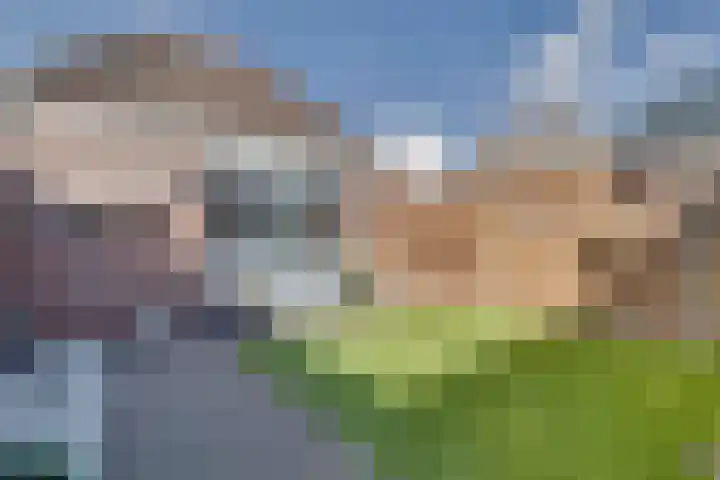 Zaagmolenweg 62 Beek en Donk thumbnail 38