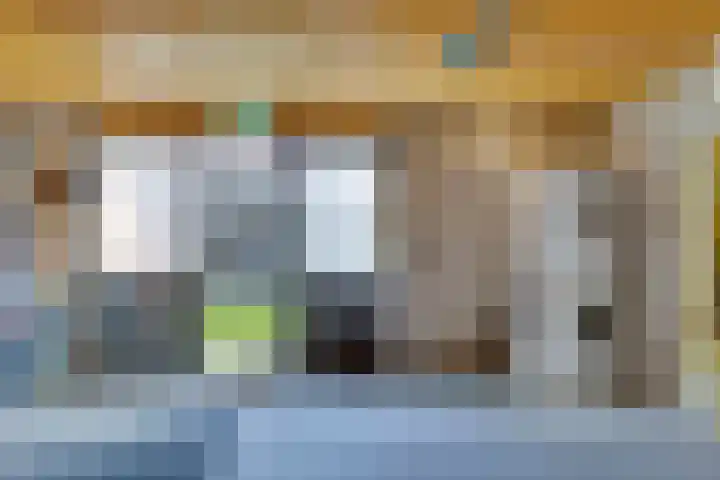 Zaagmolenweg 62 Beek en Donk thumbnail 40