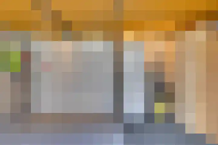 Zaagmolenweg 62 Beek en Donk thumbnail 41