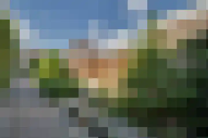 Zaagmolenweg 62 Beek en Donk thumbnail 42