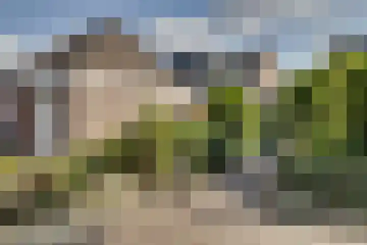 Zaagmolenweg 62 Beek en Donk thumbnail 43