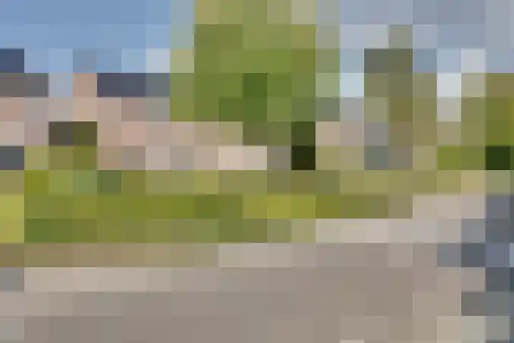 Zaagmolenweg 62 Beek en Donk thumbnail 45