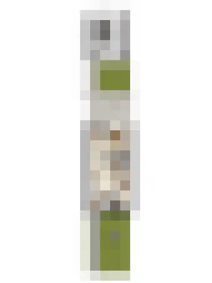 Zaagmolenweg 62 Beek en Donk thumbnail 46
