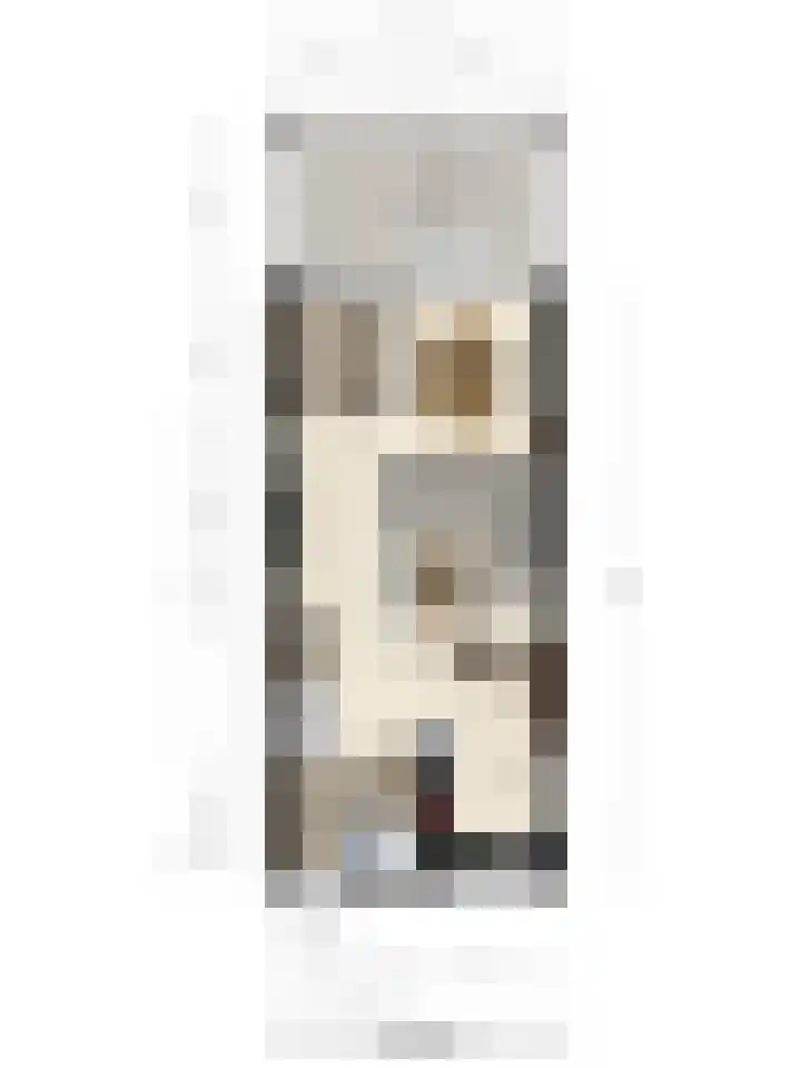 Zaagmolenweg 62 Beek en Donk thumbnail 48