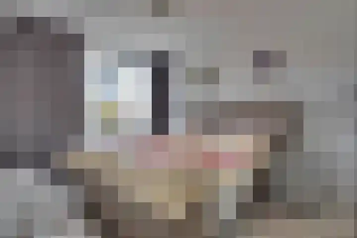 Zaagmolenweg 62 Beek en Donk thumbnail 5