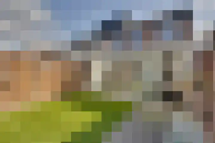 Zaagmolenweg 62 Beek en Donk thumbnail 7