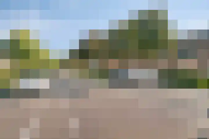Zaagmolenweg 63 Beek en Donk thumbnail 10