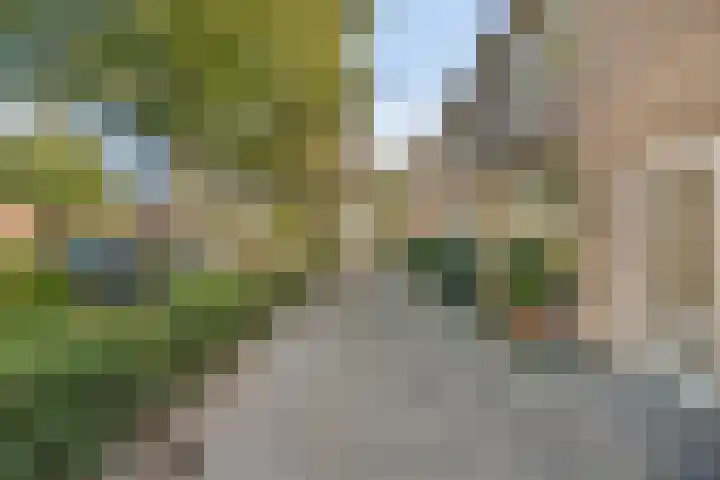 Zaagmolenweg 63 Beek en Donk thumbnail 11