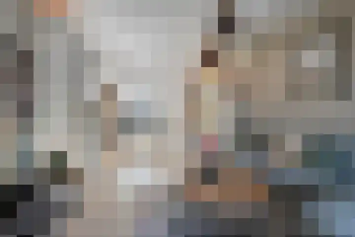 Zaagmolenweg 63 Beek en Donk thumbnail 14