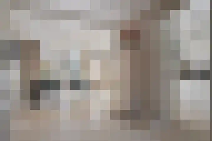 Zaagmolenweg 63 Beek en Donk thumbnail 15