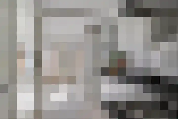 Zaagmolenweg 63 Beek en Donk thumbnail 21