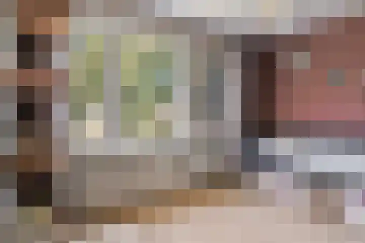 Zaagmolenweg 63 Beek en Donk thumbnail 27