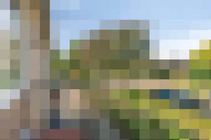Zaagmolenweg 63 Beek en Donk thumbnail 28