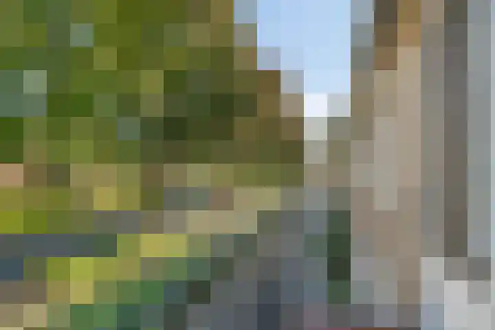 Zaagmolenweg 63 Beek en Donk thumbnail 29