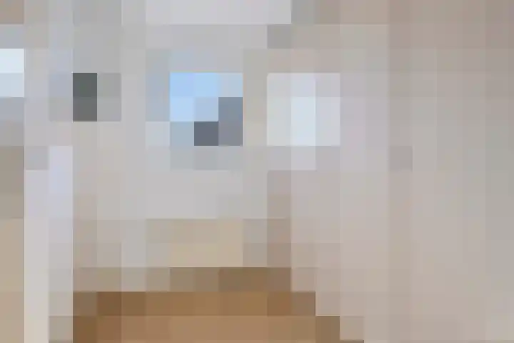 Zaagmolenweg 63 Beek en Donk thumbnail 30