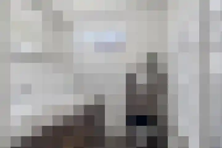 Zaagmolenweg 63 Beek en Donk thumbnail 31