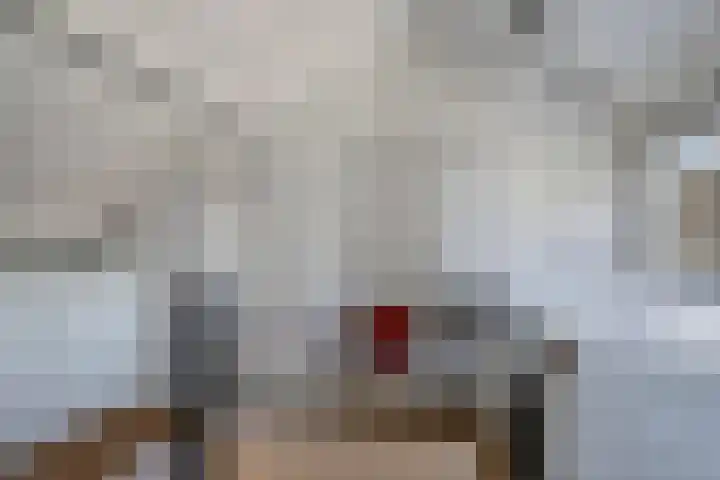 Zaagmolenweg 63 Beek en Donk thumbnail 33