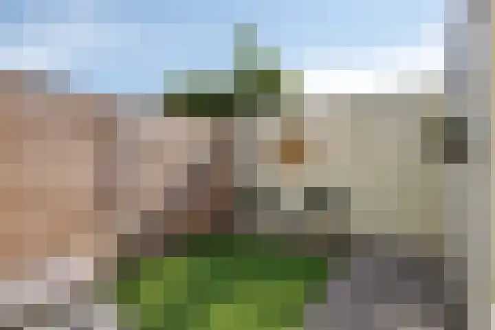Zaagmolenweg 63 Beek en Donk thumbnail 37