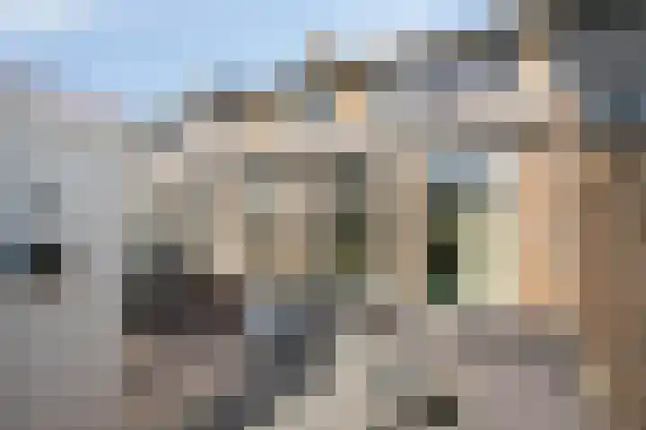 Zaagmolenweg 63 Beek en Donk thumbnail 39