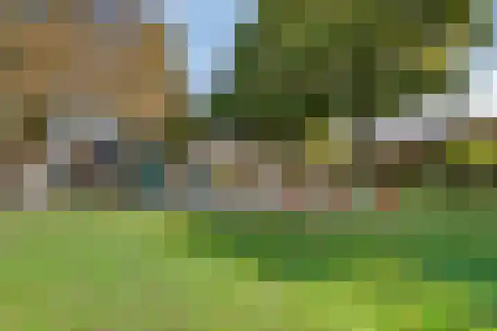 Zaagmolenweg 63 Beek en Donk thumbnail 40