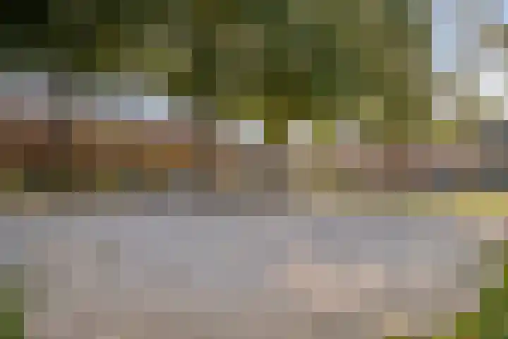 Zaagmolenweg 63 Beek en Donk thumbnail 41