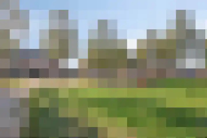 Zaagmolenweg 63 Beek en Donk thumbnail 42