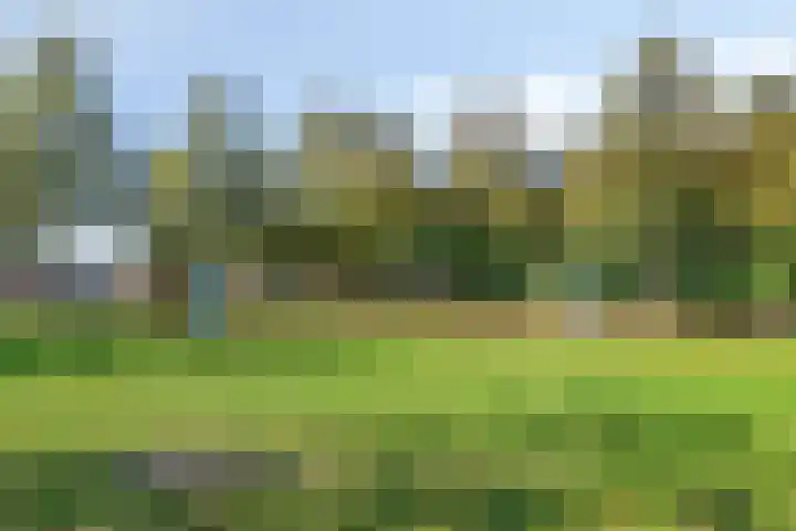 Zaagmolenweg 63 Beek en Donk thumbnail 43