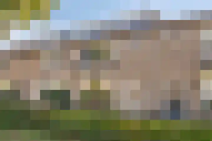 Zaagmolenweg 63 Beek en Donk thumbnail 6