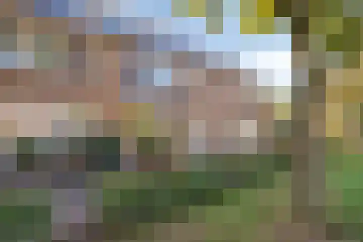 Zaagmolenweg 63 Beek en Donk thumbnail 8