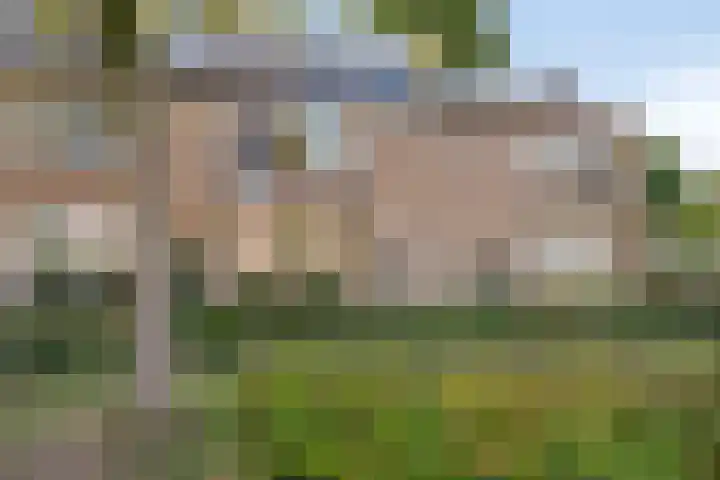 Zaagmolenweg 63 Beek en Donk thumbnail 9