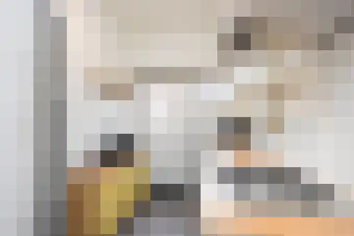 Zaagmolenweg 7 Zutphen thumbnail 11