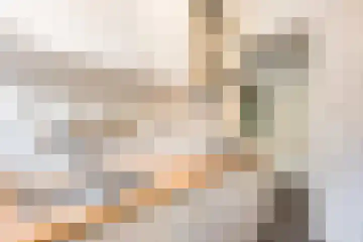 Zaagmolenweg 7 Zutphen thumbnail 12