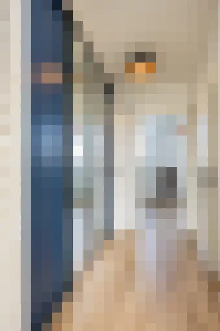 Zaagmolenweg 7 Zutphen thumbnail 15