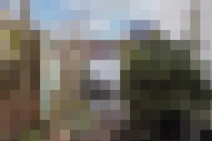 Zaagmolenweg 7 Zutphen thumbnail 21